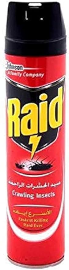 Raid Crawling Insects Killer300ML