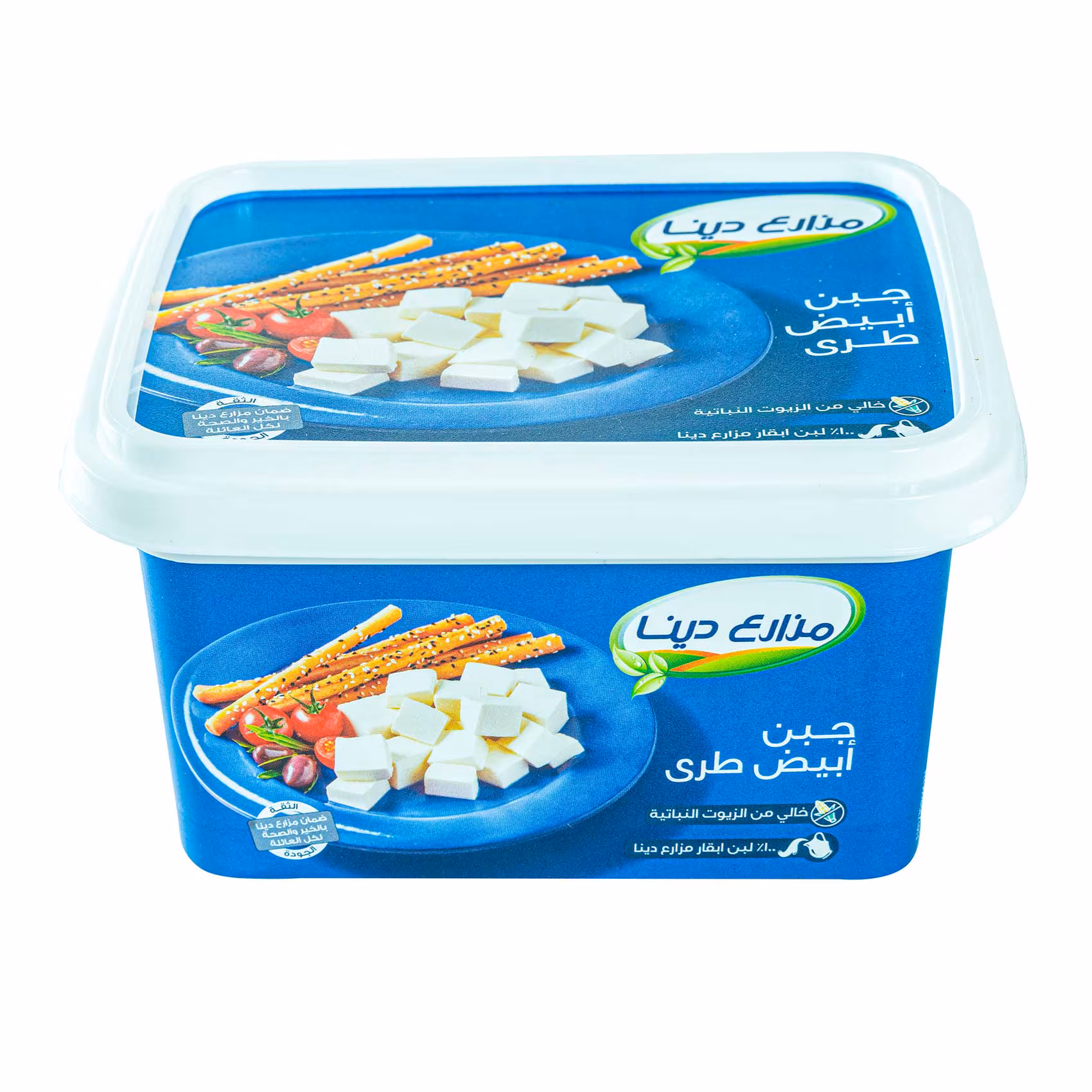 Dina Farm Feta Cheese 450G