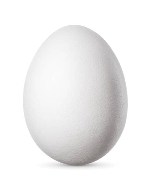 White Egg
