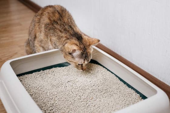 Mera cat litter ( 5 L )