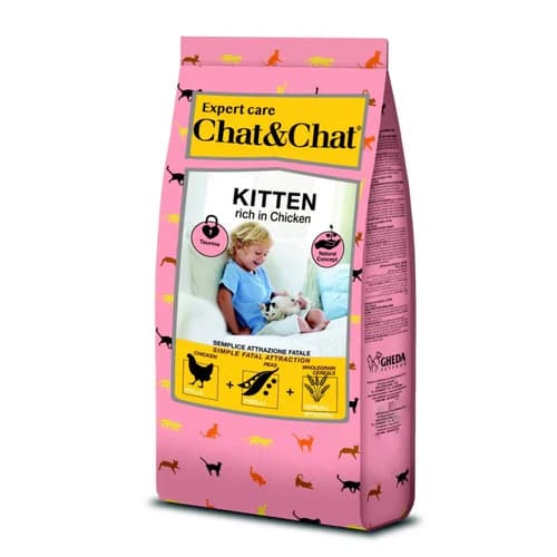 Chat chat kitten