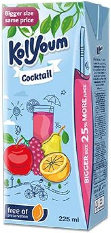Kol Youm Juice Cocktail 225ML