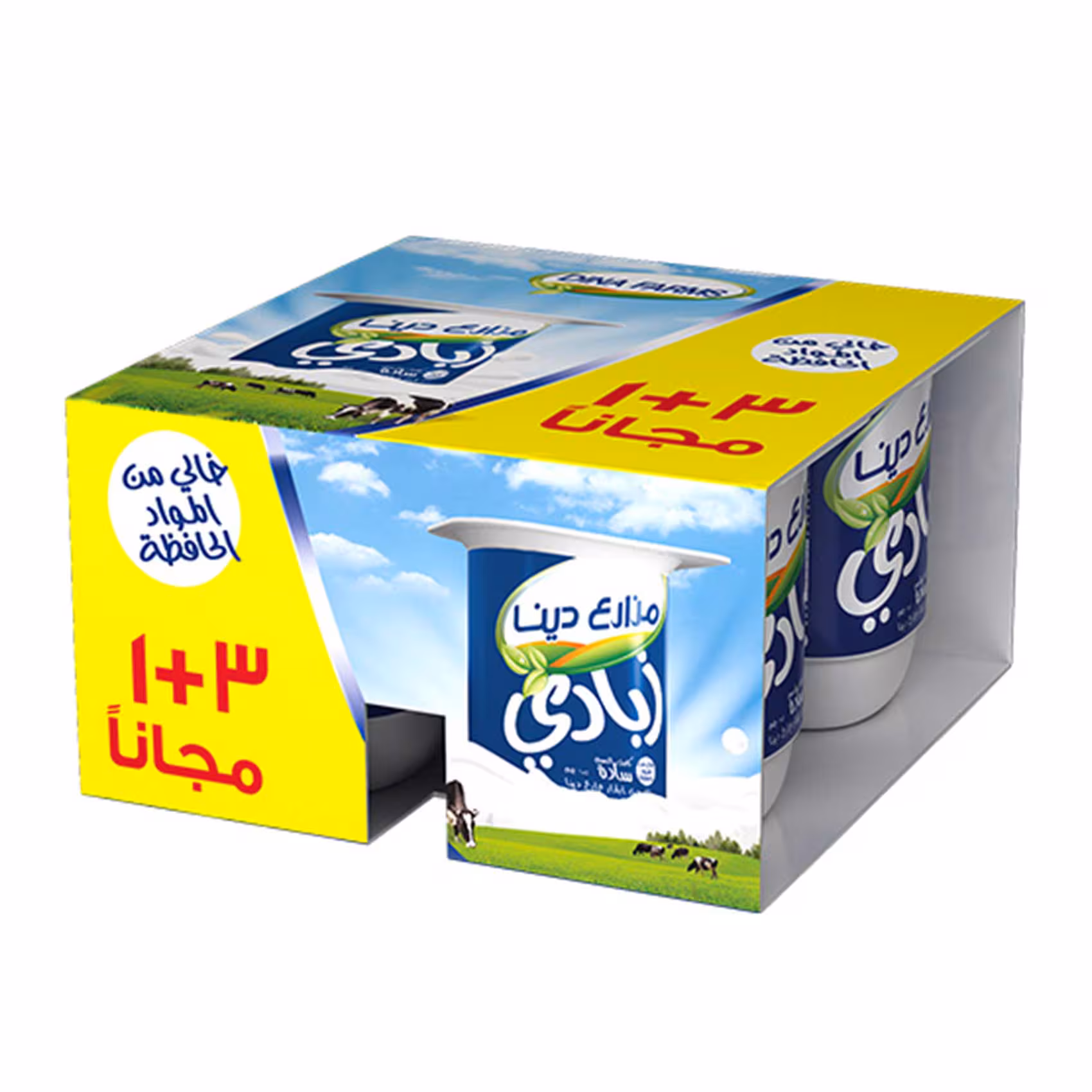 Dina Farms Plain Yoghurt  105gm 3+1