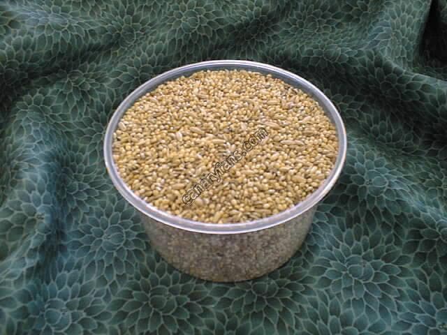 Mix birds food ( 1 kgm )